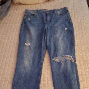 Joe's High Rise Skinny Jeans